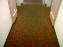 Ibis carpet (2)